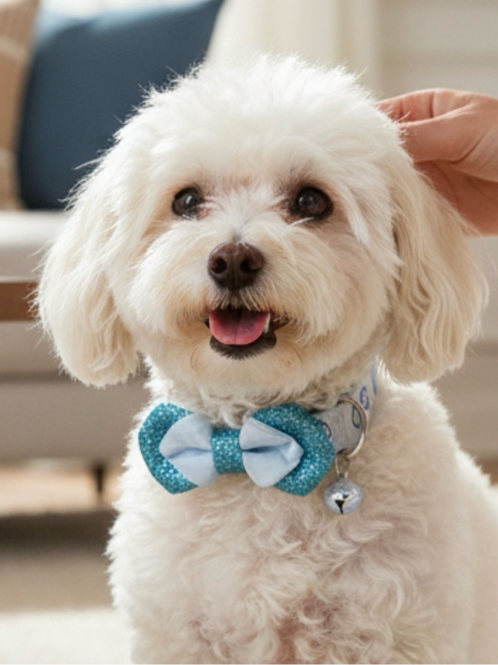 Top Paw Dog Collar With Blue Glittery Bow